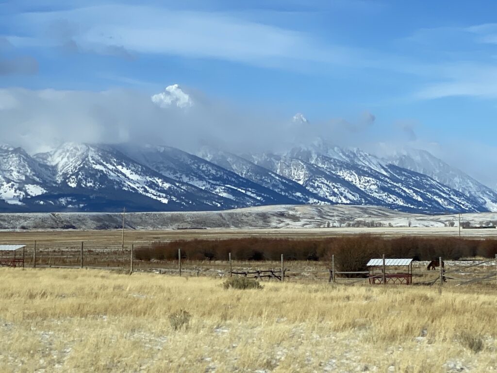 wide shot of elk refuge